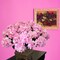 20-Inch UV Pink Hydrangea Bush with 7 Lifelike Silk Flowers for Indoor and Outdoor Décor, Floral Home by Artificial Flowers